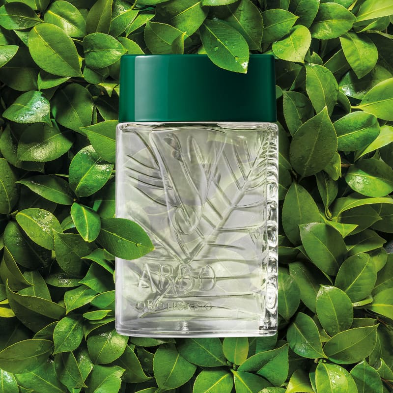 Arbo para homens 100ml